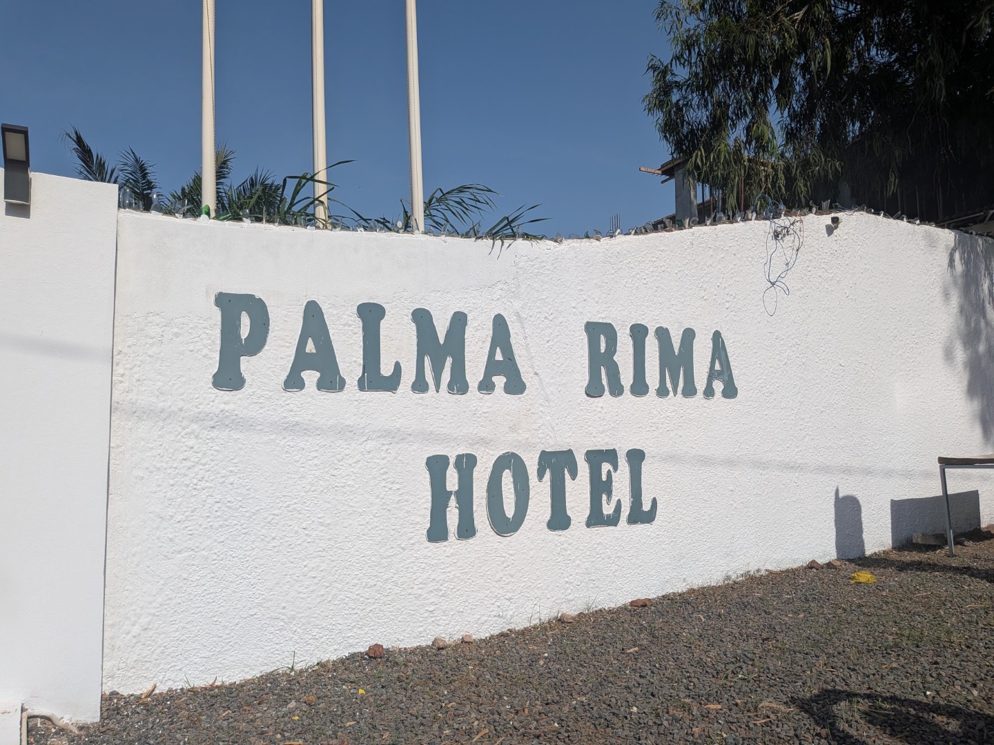 Palma Rima