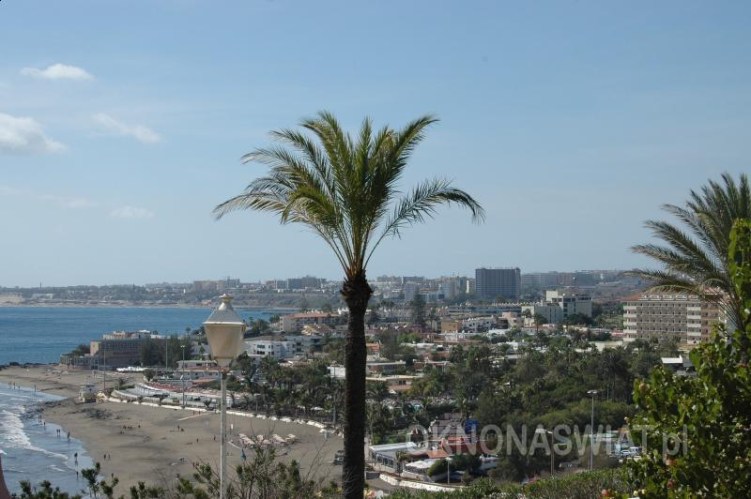 0206c1e557abc8898494461eb6900307ac4c4256