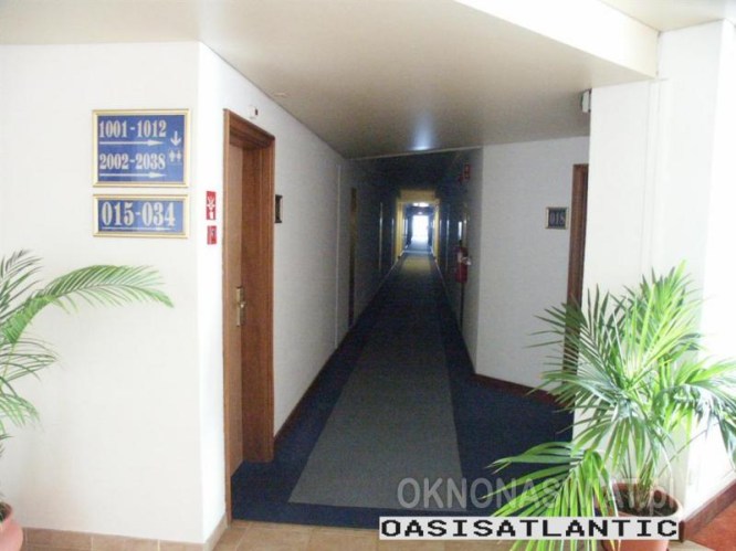 0313cf1976e042a296e8ccbbae525b35a4db09f2