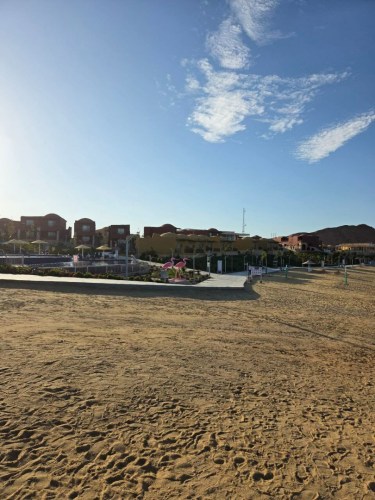 0b1f6f69-a3ef-4d80-b47e-2378e5f39c6d-1