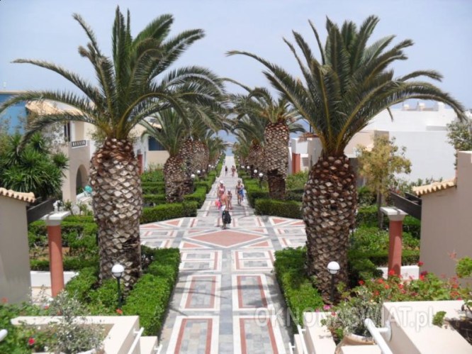 0ea76e83d463cdaa664fb919cda77635988e9eef