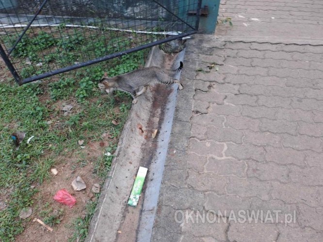 1019629b071cb1d305437f82ab6d7d061e2a02f8