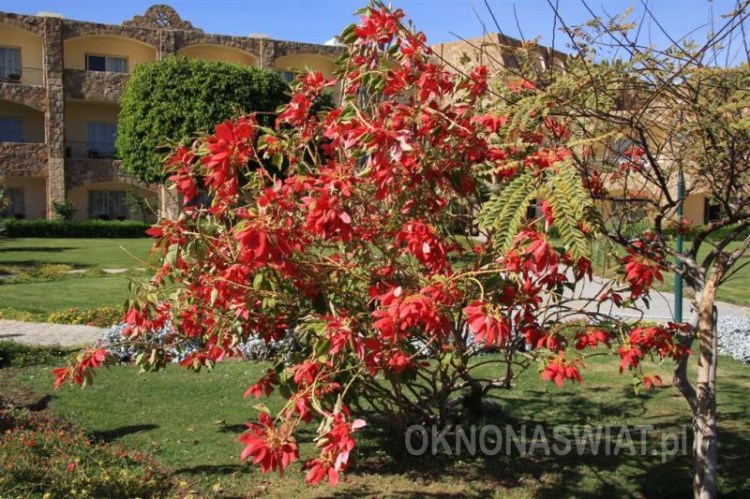 1105bda3bbc7e4a37e06bb4fda8700f6f207664b