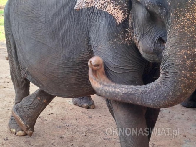 12e61f01c5d969c90d2612d079540efc3a0125f5