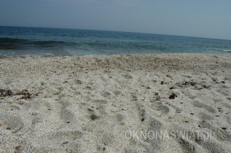 138b1b8e7bd394629a856abab728b63144c66c7a