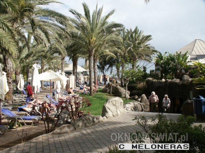 181e2cb4307050b63ea36002ec33b30d2bae3985