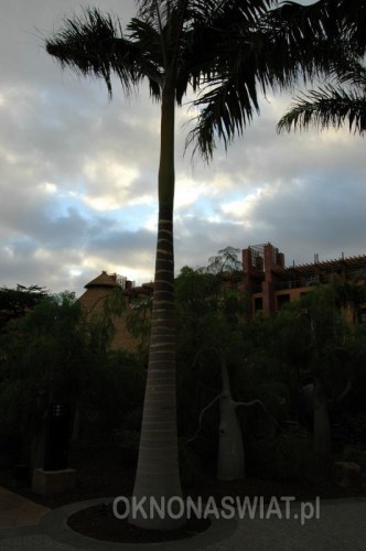 1c855bbfb3df5612081f4eb9f8e62b767a0023f9