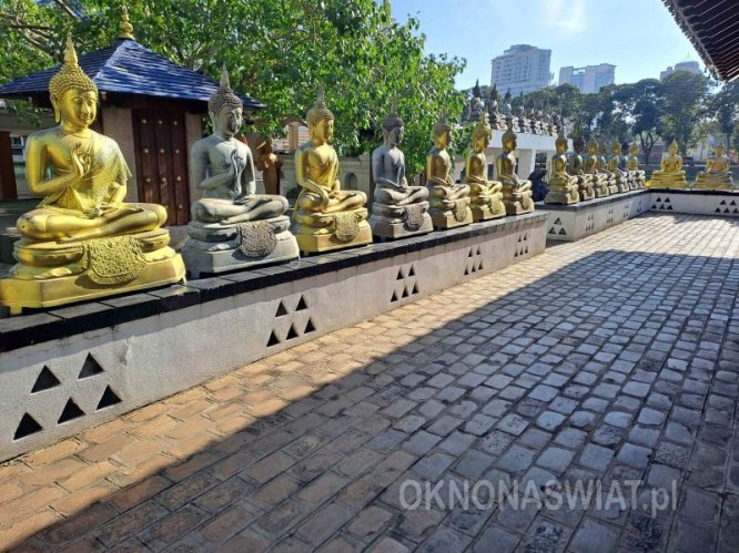 1d4861bcf498fd26b9e3c5a39674d336841b531c