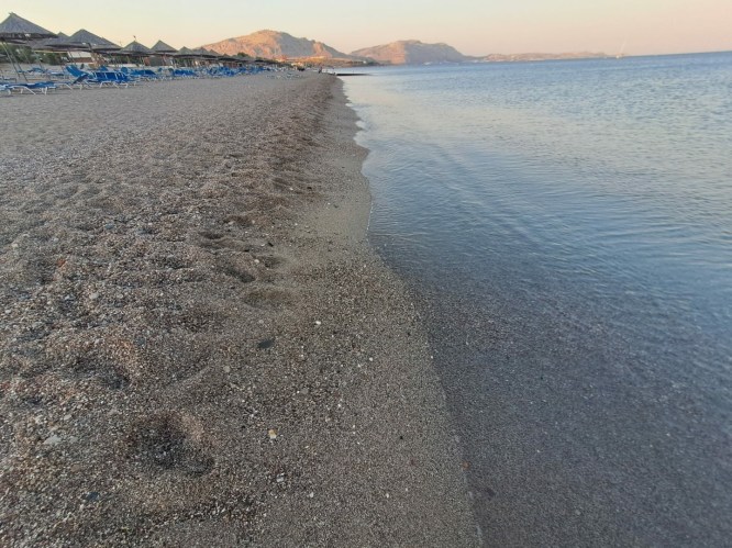 217a2f34-3cf3-46d6-b7cc-360612a4ca78-1