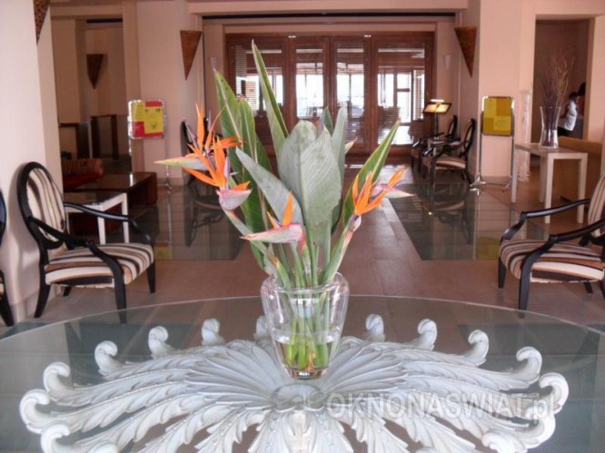 21da1fbf391d4c0bbe52500b239e6ef7eb7e61a7