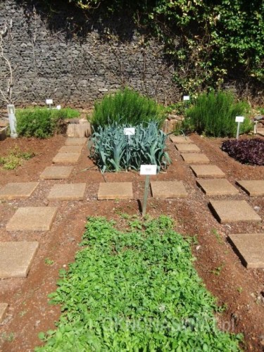 248bfb707a8b1683374d7bf161158327a82b57ff