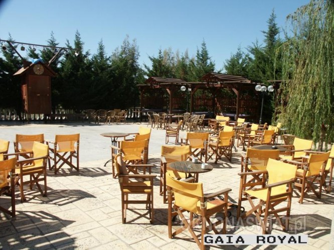 275cf4a46ddd3ee14eeeb50dab29292638fe3207