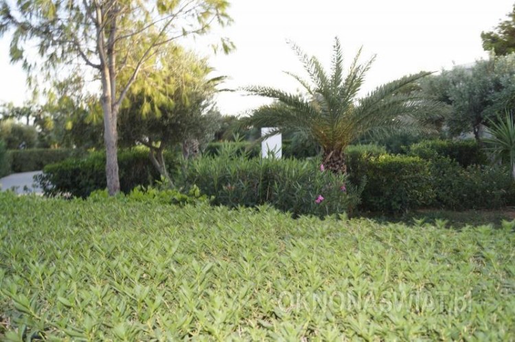 3c4eac072d359957c840c00c6d929dce1b00d1f8