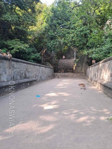 3d859189b1770c2aae083cab2bdac0a8c9d4bba5