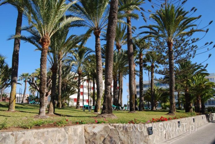 3fb2676a5d8e7dee5e7bb6697a510b3fa9678eda