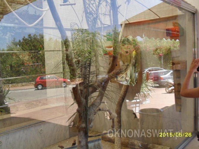 4018edc208e6ef6fabd4cec86e55c86adc2ee6aa