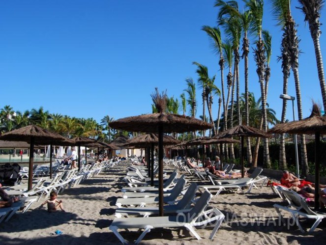 42e4d299070692673621117e432351c0346bcaf6