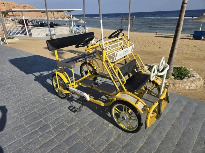 463bfbe3-a6b0-48f1-b528-da6027682460