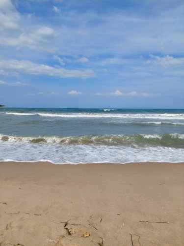 484919153_2980192498795898_8064186520227975884_n