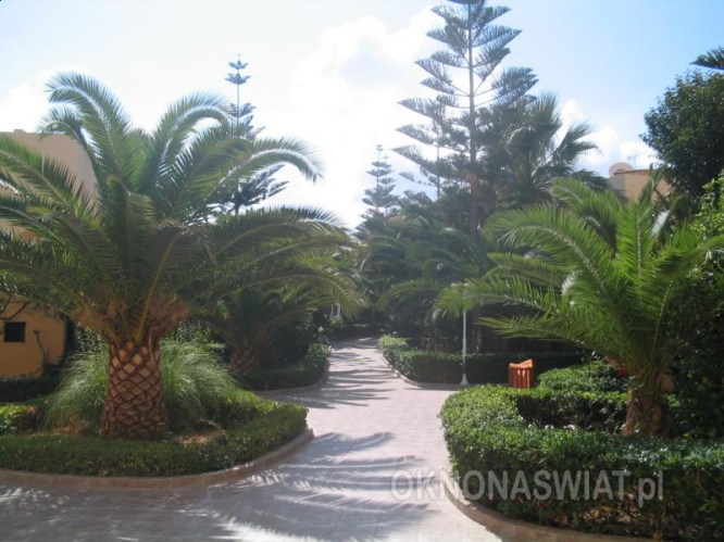 4c526a6bdfcdf2f7bd7c828a601a62f69fe08383