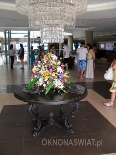 54e91997d95baca15d19a3d39a31f353a54c0575