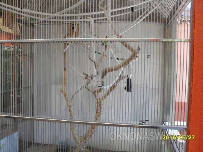 56cae88823d434992fdcd6c37484e854dd5dfaad