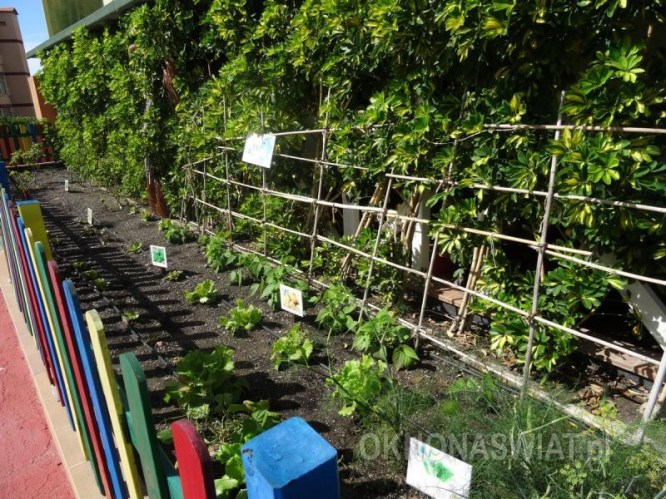 61ef678e3c310ce26c68a4fe3582298b6f5609c1