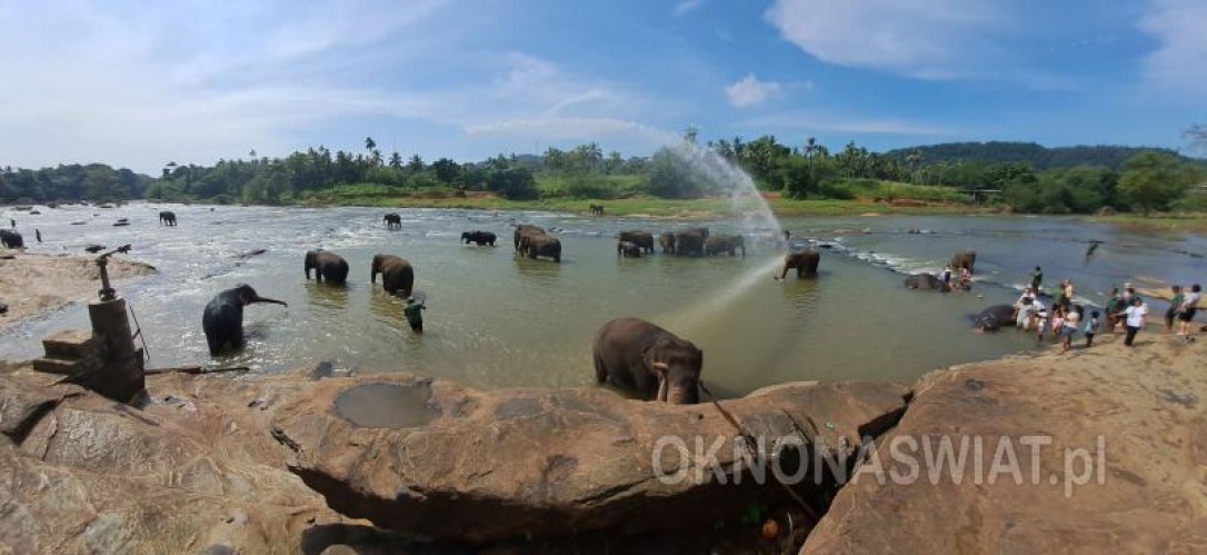 68aaa414bd6428b93c69432f9c0bea6fde87b8c5