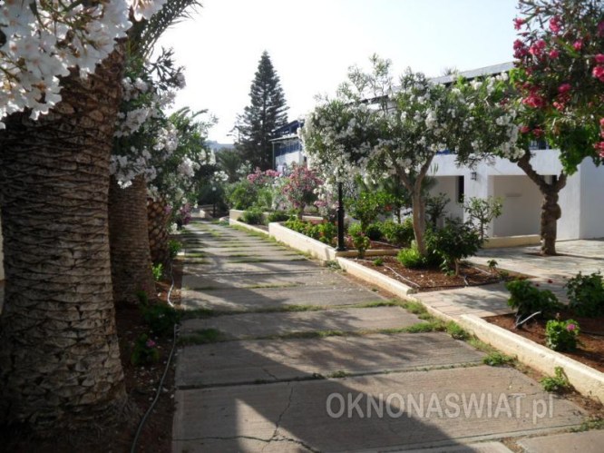 6c0ce236c0273eafeb5fafcacc3c32870d680b95