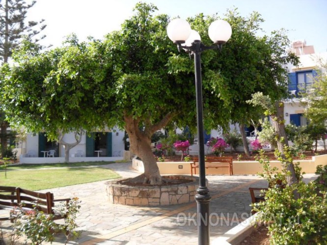 6e34e2d9fa065ae3e1d9a70a6a061976cba0826f