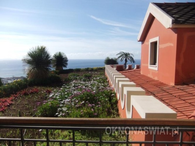 6f92cf7aeeab98db997c980a01ccef509d231208-1