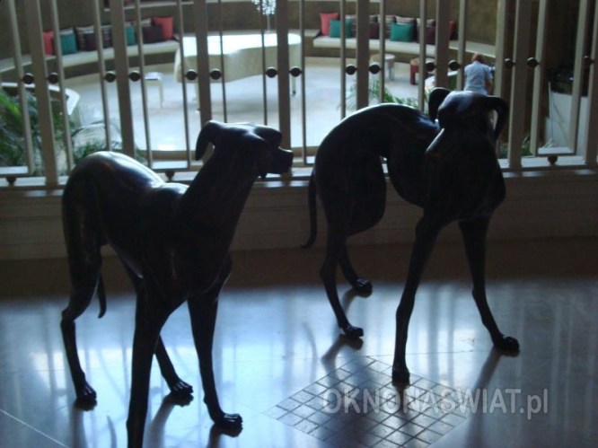 7236493ab90cbd7cc0131e43858f1af43565c5d8