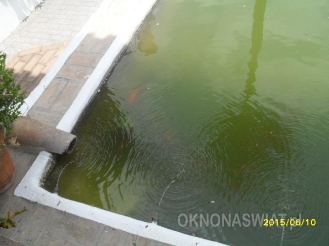 785409a504e30aede854a742633988e903c2e381