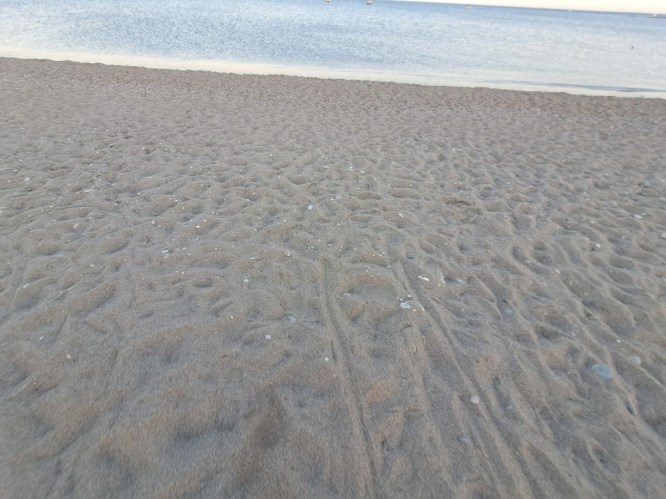 7dbe2d5d-a78b-49c7-b19c-fb12cd04ba26