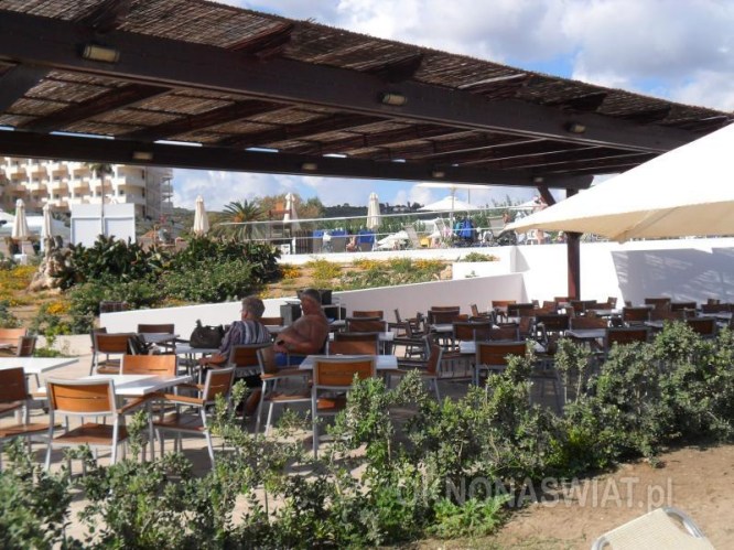 80a2dfc3656d4357d8922351129deea538d02b9b