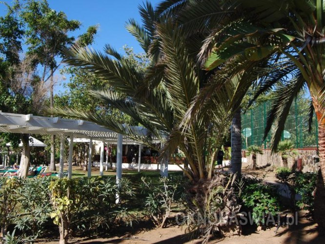 85d9a33eabcc07a18e780ab9fa949413c52a98ff