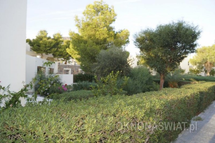 88be7d272f6a7b2e7167a1f6de1827f542abbb54