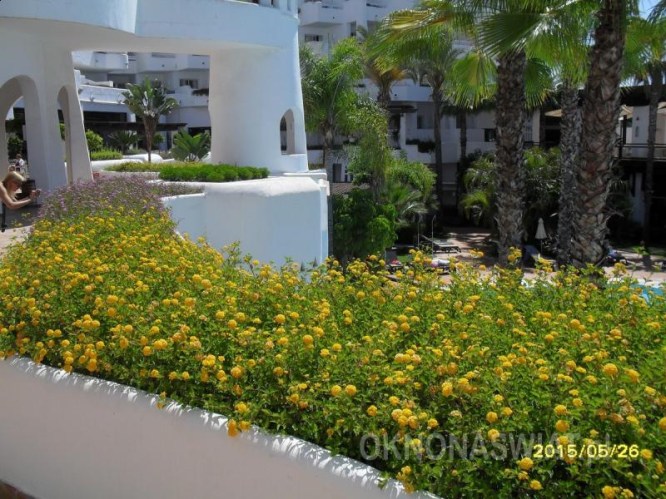 8ba8d022417535f5ccc9fa18f4729912af5f6446