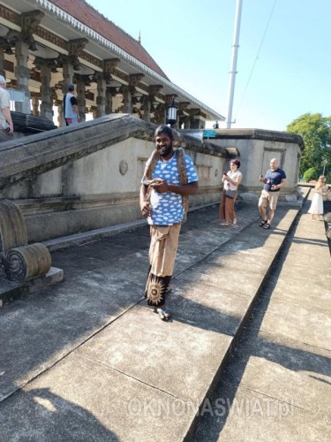 918db58558957d261189c733a819163c78c081ce