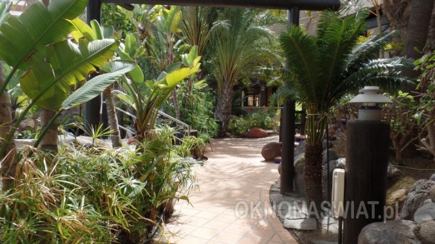 92ad6821cfedc9250fc0424d062e3f377c876715