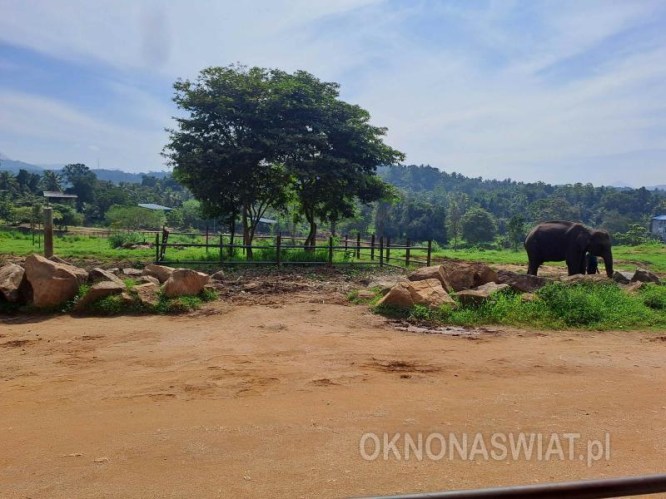 9376b228dbfe3d6a0f1c4c5c0deacabbfcbac604