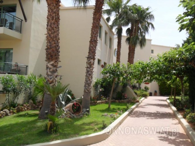 9a7d47612918774a0387895568beb2f175a8527e