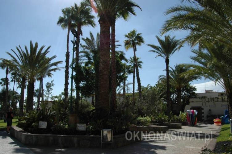 9aa6d6fd7b5f571b05ba465369f4ae806cd809b5