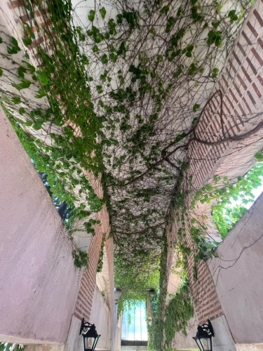 IMG-20250530-WA0192-2