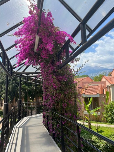 IMG-20250530-WA0214-2