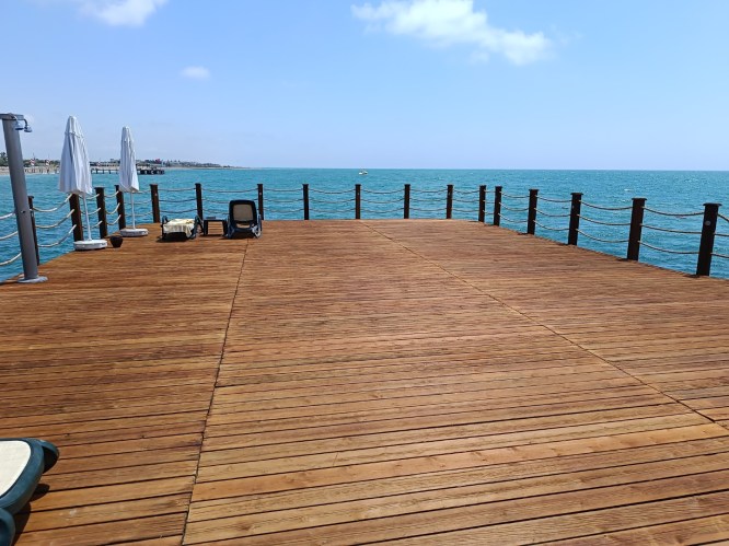 IMG_20250506_123442_1