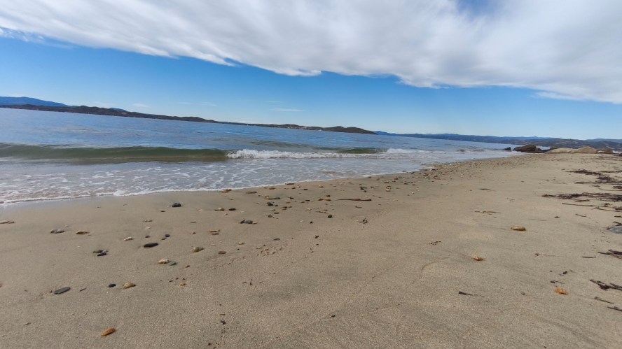 IMG_20251003_110528-1