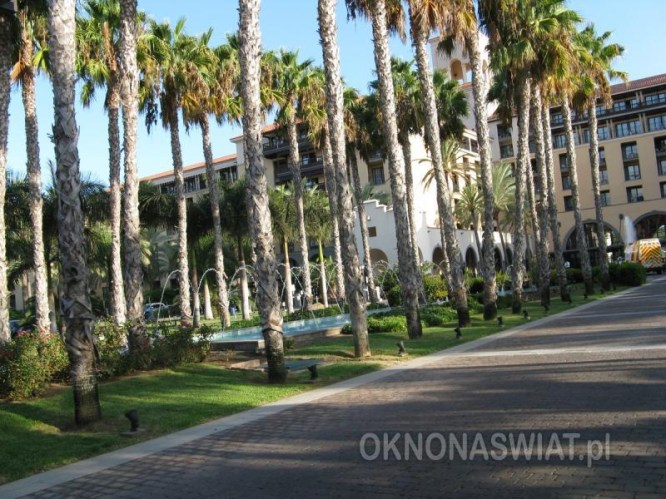 a38e54066e5afe2042b7c3655b1cf696796a1031