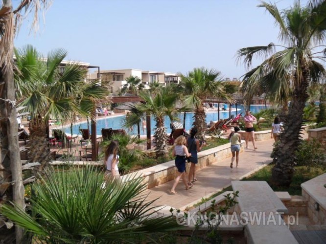 a91246bf18be6334615c1c16be84c2ae2aca61df