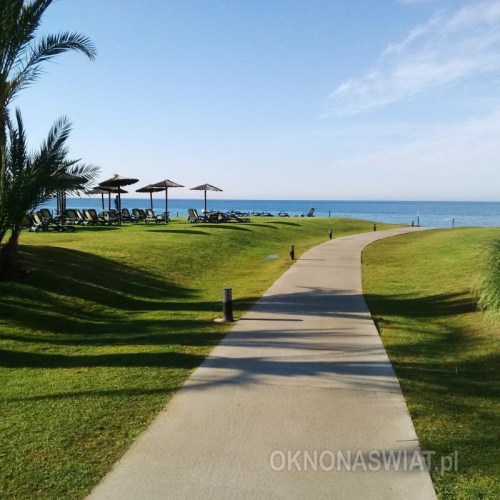 b2aecd787a5a62df5e9818d0c06a1df2d6a65615-1